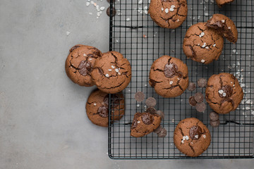 Chocolate chip cookies with dark chocolate and sea pink Himalayan salt on a gray concrete background. Best Brown Butter Cookies. Good morning! Flat lay, top view