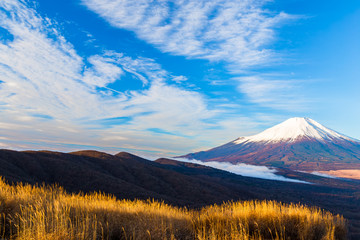 The Mt.Fuji.The foreground is pampas grass.Shot in the early morning.The shooting location is Lake Yamanakako, Yamanashi prefecture Japan.