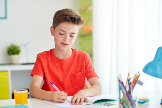 Happy Student Boy Writing To Notebook At Home
