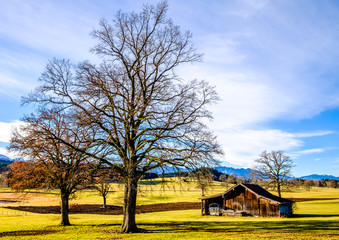 old hut