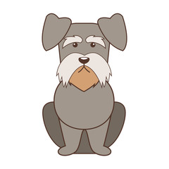 Cute dog cartoon