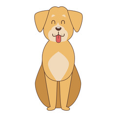 Cute dog cartoon
