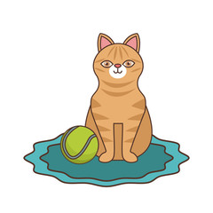 Cute cat with tennis ball