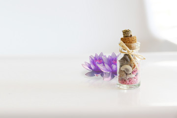 Herbal remedy and aromatherapy using essential oils and natural plants. Empty copy space for Editor's text.