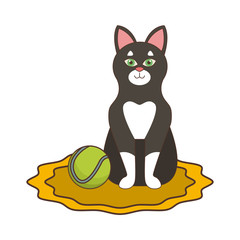 Cute cat with tennis ball