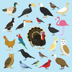 set of domestic birds and tropical animals. griffon vultures, cockatoo parrot. rhinoceros hornbill, toco toucan, flamingo and extinct species. moa, dodo and feather. © artbalitskiy