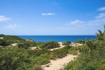 Fototapeta na wymiar dune system of Piscinas in Sardinia, Italy