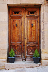 Fototapeta na wymiar Wooden door and decorative plants