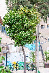 Fototapeta na wymiar Jerusalem courtyard in the old town