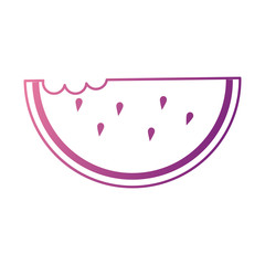 delicious watermelon slice icon vector illustration design