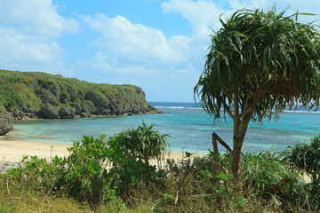 自然を感じる隠れ家ビーチ