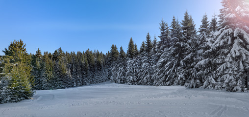 Winterlandschaft Panorama