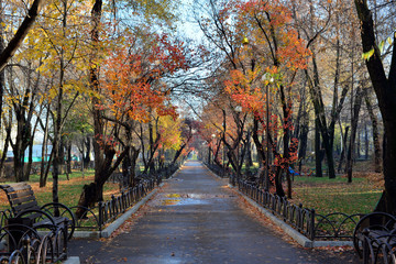 Almaty parks and street in autumn