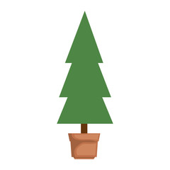 pine tree isolated icon vector illustration design