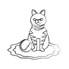 Cute cat with tennis ball