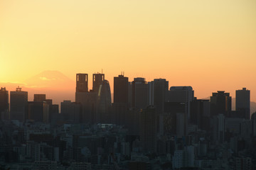 Fototapeta premium 夕景・東京都心から見える富士山と新宿区の高層ビル群