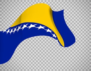 Bosnia and Herzegovina flag