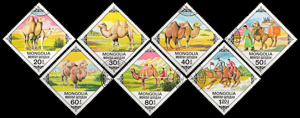 Postage stamps. Mongolia. Bactrian Camels