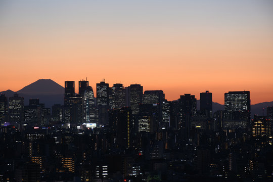 新宿の高層ビル群 Photos Royalty Free Images Graphics Vectors Videos Adobe Stock 新宿の高層ビル群 Photos Royalty Free Images Graphics Vectors Videos Adobe Stock