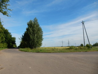 Fototapeta premium turn in the field