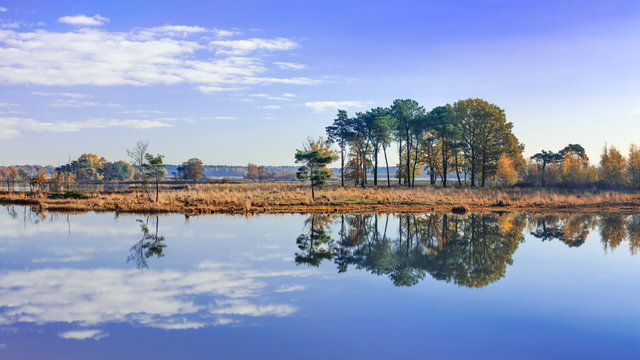 TurnhoutBilder StockFotos & Videos. Adobe Stock