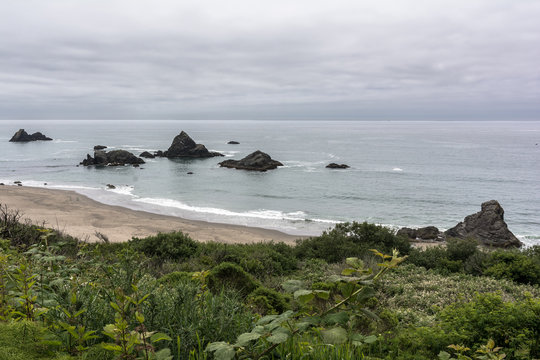 The Coast Along Brookings, Oregon