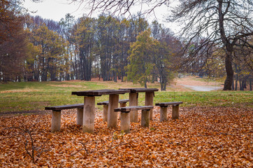 empty benches and tables in beautiful autumn park surrounded with colorful trees - 181643423