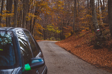 Mountain road with shadows surrounded with beautiful autumn trees and golden leaves - 181643801