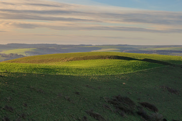 Sussex Rolling Landscape