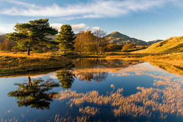 Beautiful golden evening light on an Autumnal evening at Kelly Hall Tarn in the English Lake District.