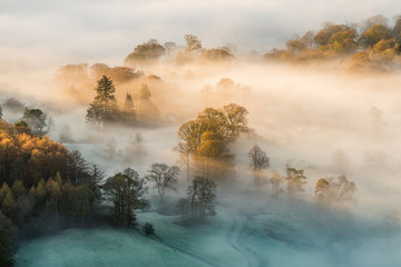 Golden rays of light penetrating through thick Autumnal mist on a frosty morning in the English...