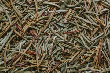 Rosemary herb closeup texture background.