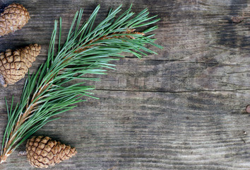 Branch of pine and cones.Wooden texture.Free space.Background.Holiday