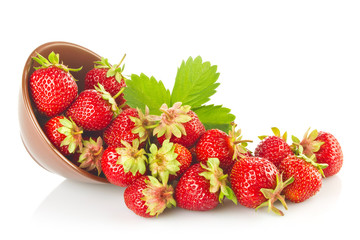 Ripe organic strawberries in tureen with green leaves and flower