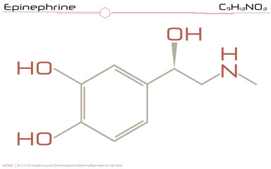 Large and detailed illustration of the molecule of Epinephrine