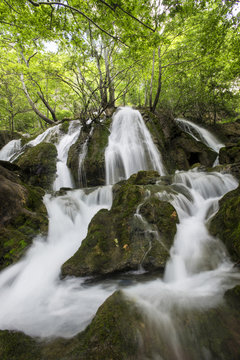 Waterfall in the forest © sezer66