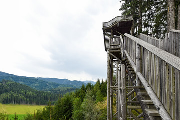 Obraz premium Forest Skywalk in Wipfelwanderweg Rachau in Austria