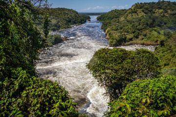 Naklejka na ściany i meble View from the top of the waterfalls on the Nile after the Murchison Falls, also known as Kabalega Falls. Currently threatened by oil drilling companies