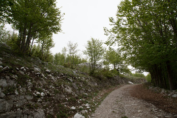 Obraz premium Panorama, Sentiero verso Monte Cervati, da Sanza, Parco Nazionale del Cilento e Vallo di Diano, primavera 
