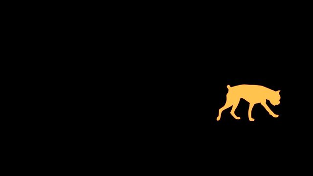 Silhouette of the yellow dog (boxer), animation