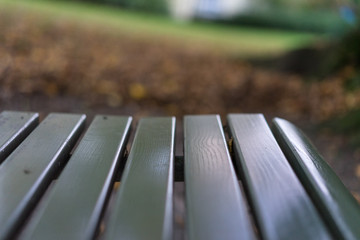 green wood park bench in autumn fall season