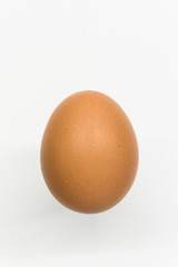 One Brown Egg in Front of White Background (totally in focus)