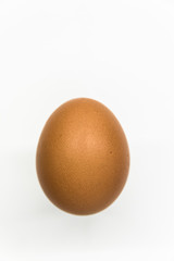 One Brown Egg in Front of White Background (slightly blurred on the side)