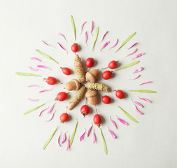 Beautiful natural mandala on light background
