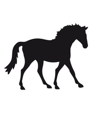 silhouette schwarz umriss pferd pony reiten schnell pferdchen klein spaß schnell comic cartoon reiter schön süß niedlich