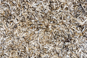 texture of dry grass