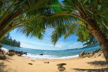 Wild deserted beach with coconut palms. Fisheye shot. Phuket, Thailand