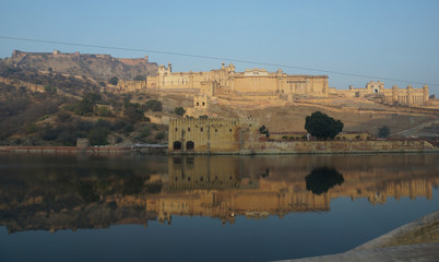 Fototapeta premium Elephant Walk up to ancient castle in Jaipur, India