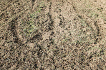 texture and pattern of dirt nature background