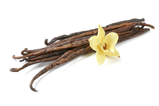 Vanilla sticks and flower, isolated on white